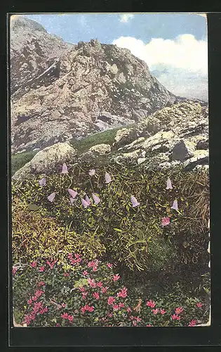 Künstler-AK Photochromie Nr. 929: Soldanella minima, Azalea procumphen