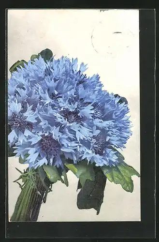 Künstler-AK Photochromie Nr. 421: Blauer Blumenstrauss