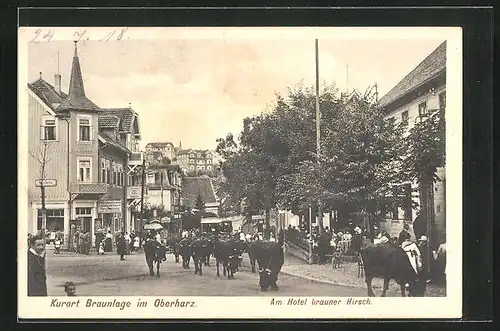 AK Braunlage / Oberharz, Austrieb am Hotel Brauner Hirsch