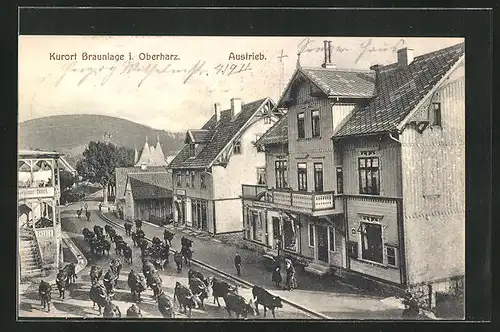 AK Braunlage / Oberharz, Austrieb am Hotel Siegling