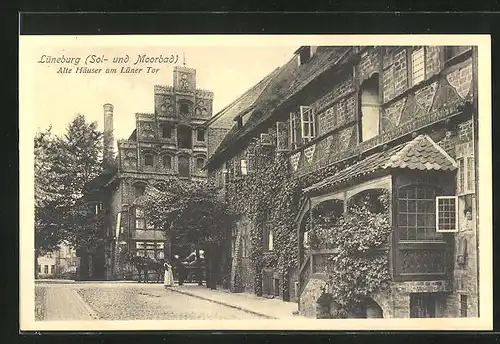 AK Lüneburg, Alte Häuser am Lüner Tor, Strasse am Werder