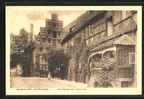 AK Lüneburg, Alte Häuser am Lüner Tor, Strasse am Werder