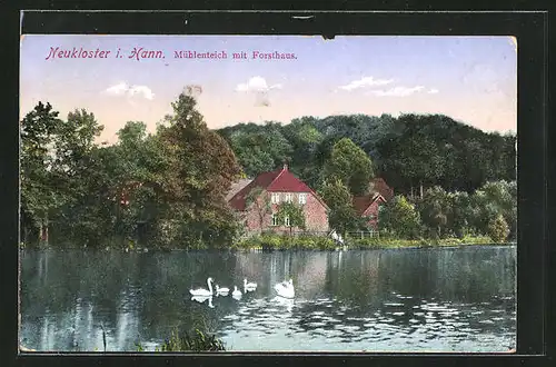 AK Neukloster i. Hann., Mühlenteich mit Forsthaus