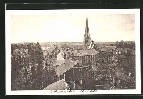 AK Schwarzenbek, Stadtbild