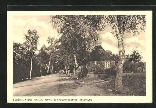 AK Secklendorf bei Beuensen / Lüneburger Heide, Ortspartie