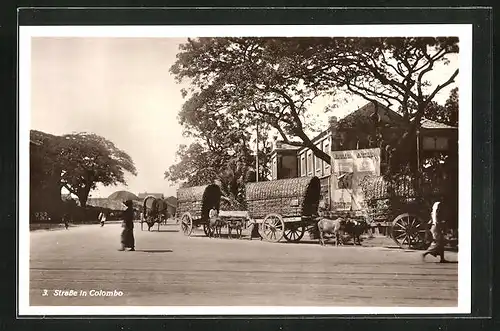 AK Colombo, Strassenpartie mit Gebäudeansicht und Karren