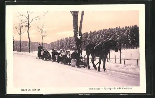 AK Braunlage, Rodelpartie mit vorgespanntem Pferd