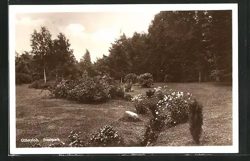 AK Gütersloh, Stadtpark mit Pflanzungen