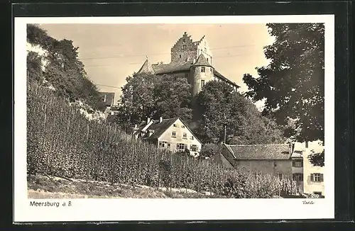 AK Meersburg a.B., Blick auf das Schloss