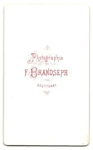 Fotografie F. Brandseph, Stuttgart, Portrait eleganter Herr mit Oberlippenbart