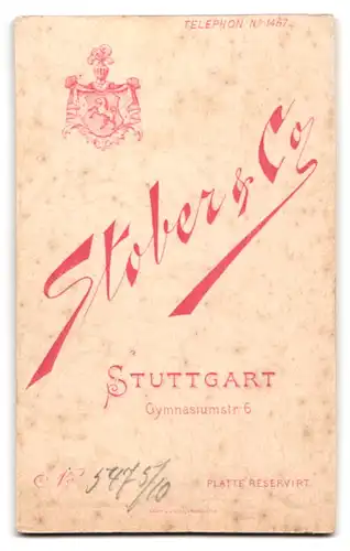 Fotografie Stober & Co., Stuttgart, Gymnasiumstrasse 6, Portrait junge Dame in eleganter Kleidung