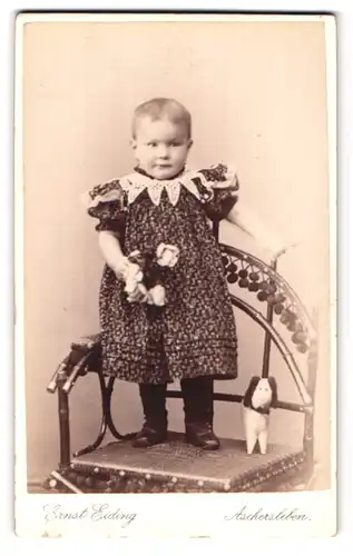 Fotografie Ernst Eiding, Aschersleben, Über den Steinen 32, Portrait süsses Kleinkind im hübschen Kleid mit Plüschhund