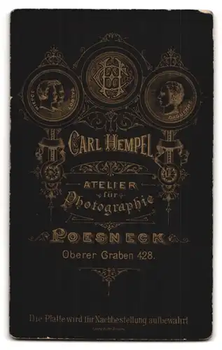 Fotografie Carl Hempel, Poesneck, Oberer Graben 428, Portrait bürgerliche Dame mit Hochsteckfrisur