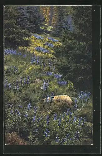 Künstler-AK Photochromie Nr. 1189: Gentiana asclepiadea