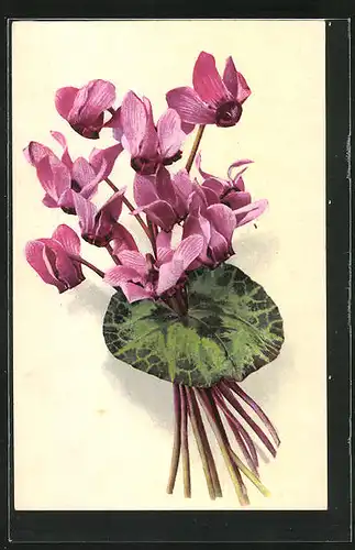 Künstler-AK Photochromie Nr. 1181: Pinker Blumenstrauss mit Seerose