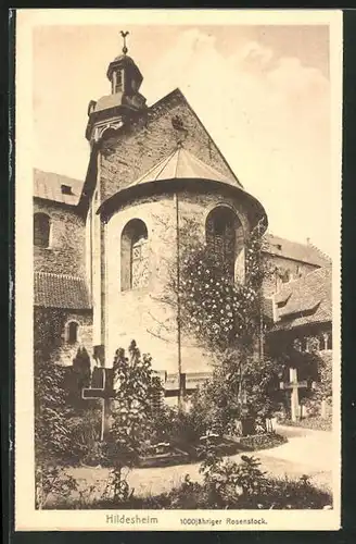 AK Hildesheim, 1000 jähriger Rosenstock mit Friedhof & Dom