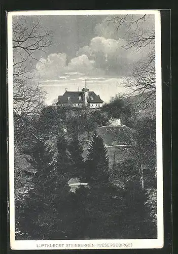 AK Steinbergen / Wesergebirge, Waldpartie gegen Schloss