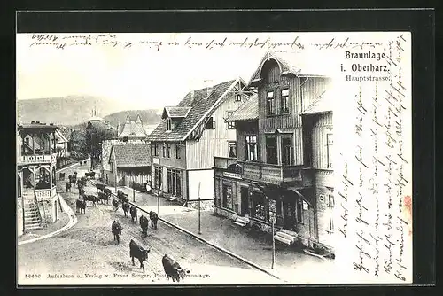 AK Braunlage i. Oberharz, Hauptstrasse mit Hôtel, Geschäft und Rinderherde