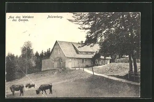 AK Clausthal-Zellerfeld / Harz, Polsterberg mit Rindern am Wald
