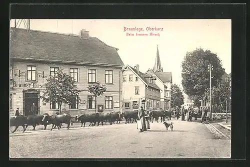 AK Braunlage / Oberharz, Hotel Brauner Hirsch