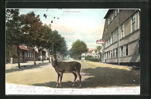 AK St. Andreasberg / Harz, Zahme Hirschkuh die Mieke auf der Schützenstrasse