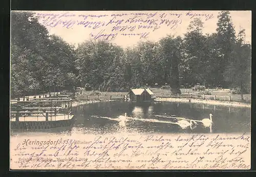 AK Heringsdorf, Konzertpark-Cafe Italien