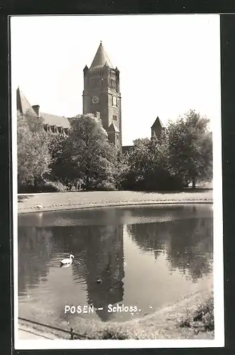 AK Posen / Poznan, Teich gegen Schloss