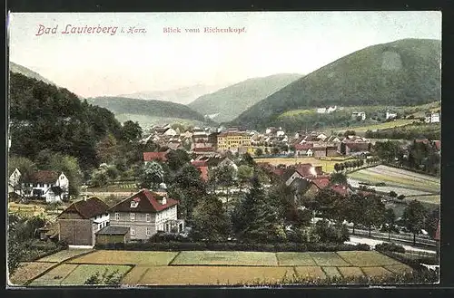 AK Bad Lauterberg i. Harz, Blick vom Eichenkopf auf den Ort