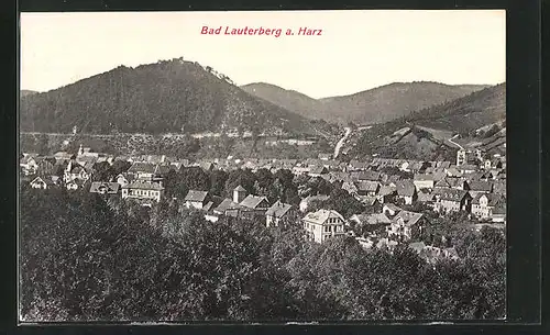 AK Bad Lauterberg a. Harz, Ortsansicht