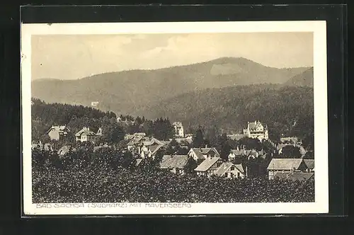 AK Bad Sachsa / Südharz, Teilansicht mit Ravensberg