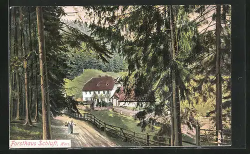 AK St. Andreasberg, Strasse zum Forsthaus Schluft