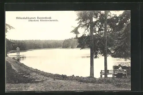 AK Buntenbock /Oberharz, Bärenbrucherteich mit Wanderin auf Bank ruhend