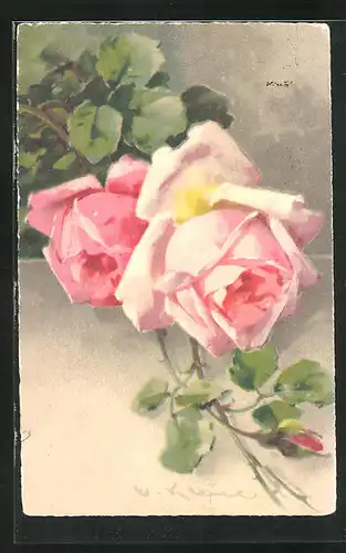 Künstler-AK Catharina Klein: rosé farbene Rosen in voller Blüte mit Blattgrün