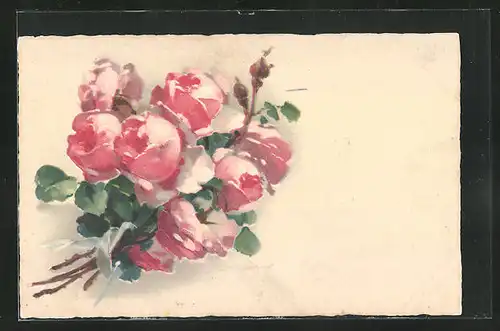 Künstler-AK Catharina Klein: rosa farbene Rosen mit Blattgrün und Schleifenband