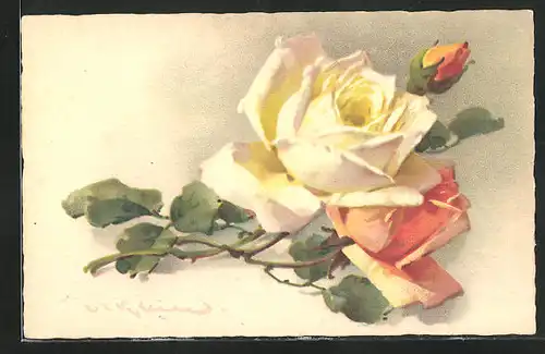 Künstler-AK Catharina Klein: gelbe Rosen in voller Prachtblüte mit Knospe und Blattgrün