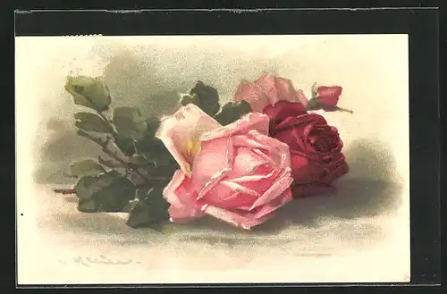 Künstler-AK Catharina Klein: Rosafarbene und rote Rose