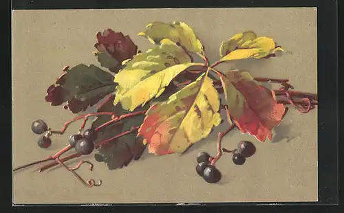 Künstler-AK Catharina Klein: Zweig mit Herbstblättern und Heidelbeeren