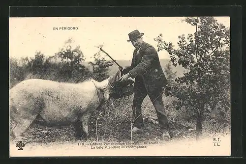 AK En Périgord, Groupe sympathique cherchant la Truffe, La bête attendant sa récompense, Mann mit Trüffelschwein