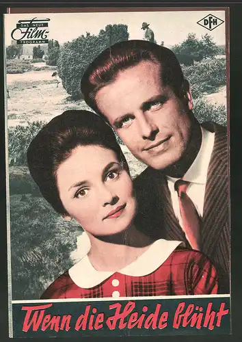 Filmprogramm DNF, Wenn die Heide blüht, Walter Richter, Peter Carsten, Rita Paul, Regie: Hans Deppe