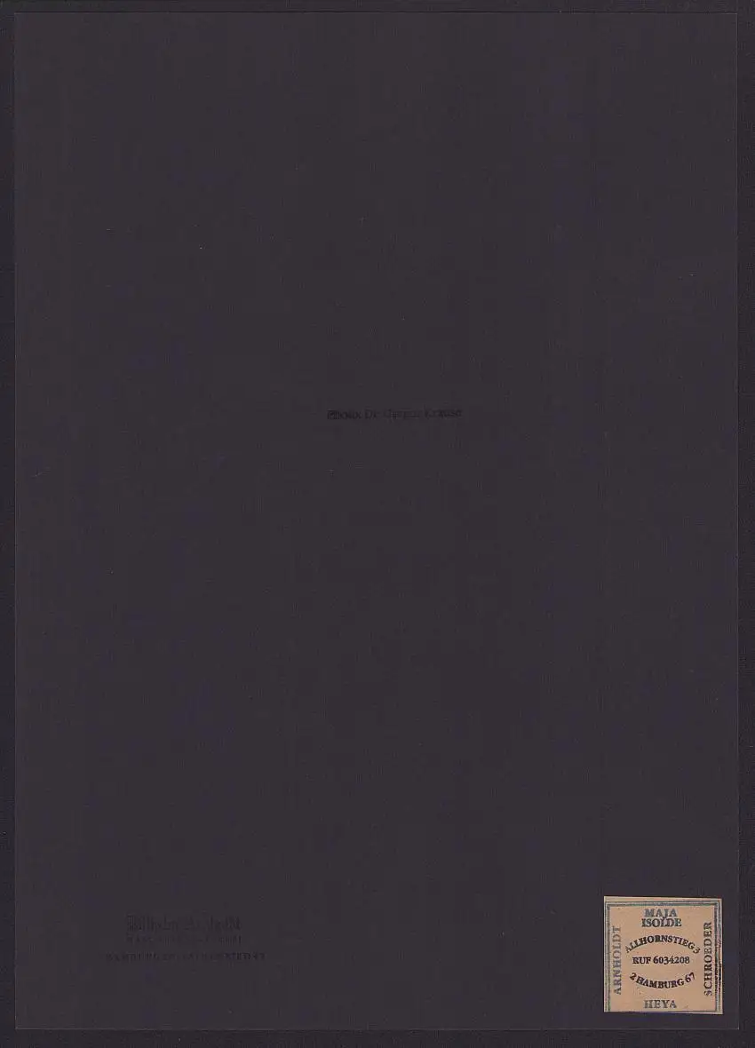 Fotografie Dr. Gregor Krause, Ansicht Bali / Indonesien, Eingeborene & Fotoapparat, Grossformat 35 x 25cm 1