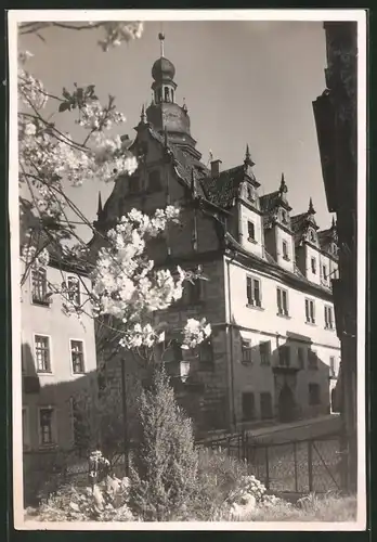 Fotografie Dr. A. Gruner, Coburg, Ansicht Coburg, Gymnasium im Frühling
