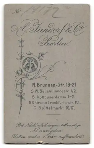 Fotografie A. Jandorf & Co., Berlin-N, Brunnen-Strasse 19-21, Portrait bürgerliche Dame mit Stuhl