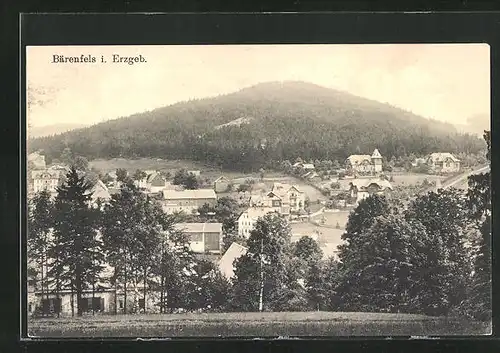 AK Bärenfels i. Erzgebirge, Ortsansicht