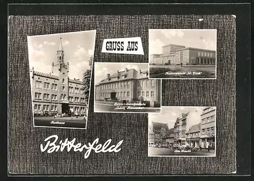 AK Bitterfeld, Betriebsberufsschule Adolf Hennecke, Rathaus, Kulturpalast W. Pieck