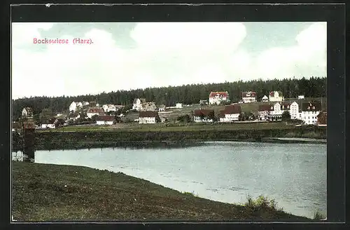 AK Bockswiese / Harz, Teilansicht