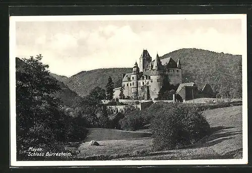 AK Mayen, Schloss Bürresheim