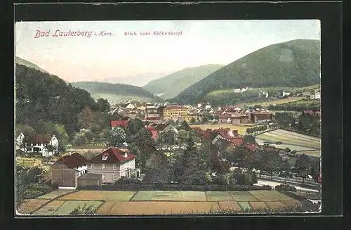 AK Bad Lauterberg /Harz, Blick vom Eichenkopf auf die Ortschaft