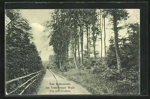 AK Bad Rothenfelde /Teutoburger Wald, Weg zum Forsthaus