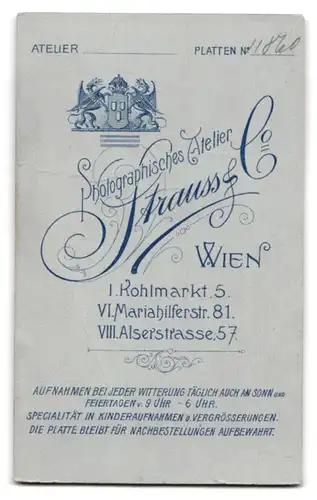 Fotografie Strauss & Co., Wien, Kohlmarkt 5, Portrait bildschöne Dame in eleganter Bluse