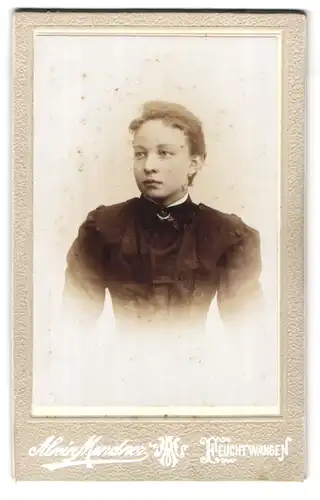 Fotografie Alwin Mendner, Feuchtwangen, Portrait bildschönes Fräulein mit Brosche am Blusenkragen